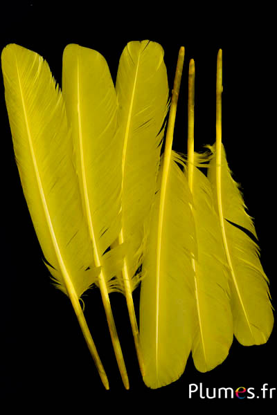 Cygne - 30-33 cm - jaune